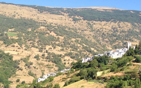 Lower quarters of Capileira